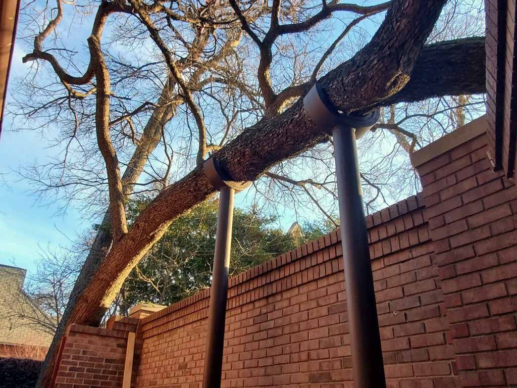 Tree service crew working around mature trees and nearby property features.